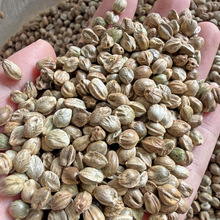 ���� ������ ���� С�w�� ���w�� ���w���������� �W�^�B���]���l