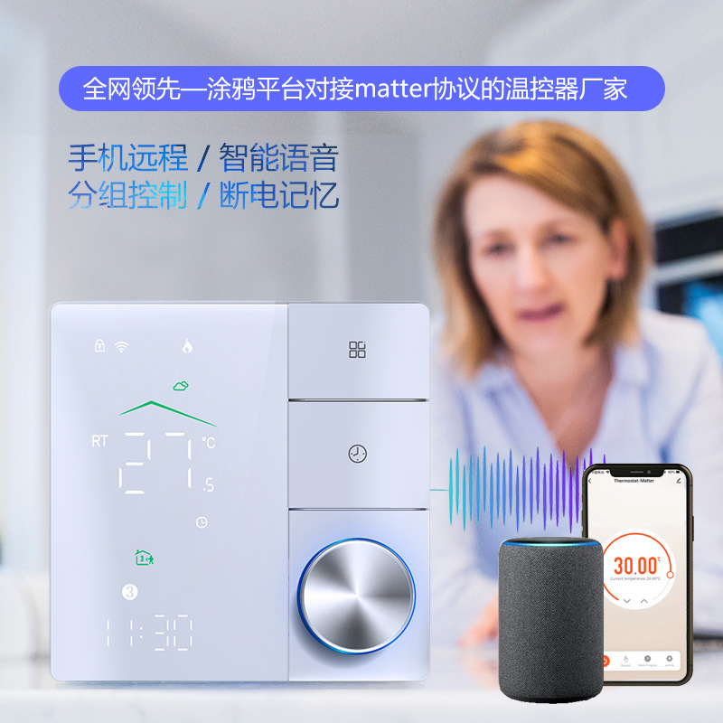 Wireless Matter Smart Wall-Mounted Boiler Thermostat Temperature Control Panel 5A Home Digital Underfloor Heating Thermostat Google