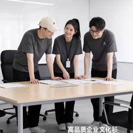 凉感索罗娜圆领速干T恤定制企业团体广告衫印logo短袖工作服龙
