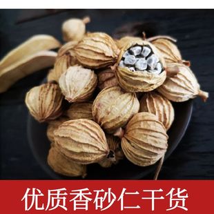 ��ɰ�ʴ���  ��ɰ�����ɰ�������{�ϟ����u���{�������{ζ��