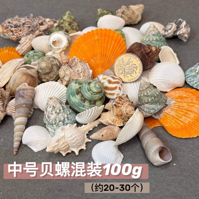 石塑粘土贝壳冰箱贴手工制作DIY海螺贝壳玛瑙免烧免考材料包|undefined