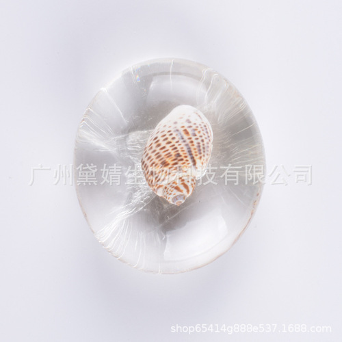 Amino Acid Essential Oil Soap Transparent Soap Conch Shell Starfish Creative Handmade Soap Cleansing Bath Soap One Piece Dropshipping