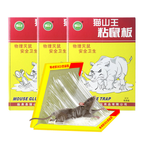 猫山王粘鼠板捕鼠器日用百货灭鼠器老鼠胶家用大号鼠贴批发可LOGO