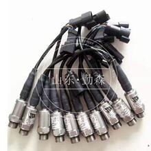JCB��������� ��Ӧ JCB���������  J2970��ѹ������ 0-600bar