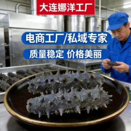 海参