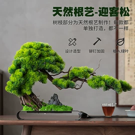 茶具配件;茶壶;茶杯