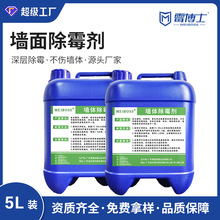 霉博士墙体墙面除霉剂白墙瓷砖除黑霉用去霉斑霉菌清洁剂抗真菌