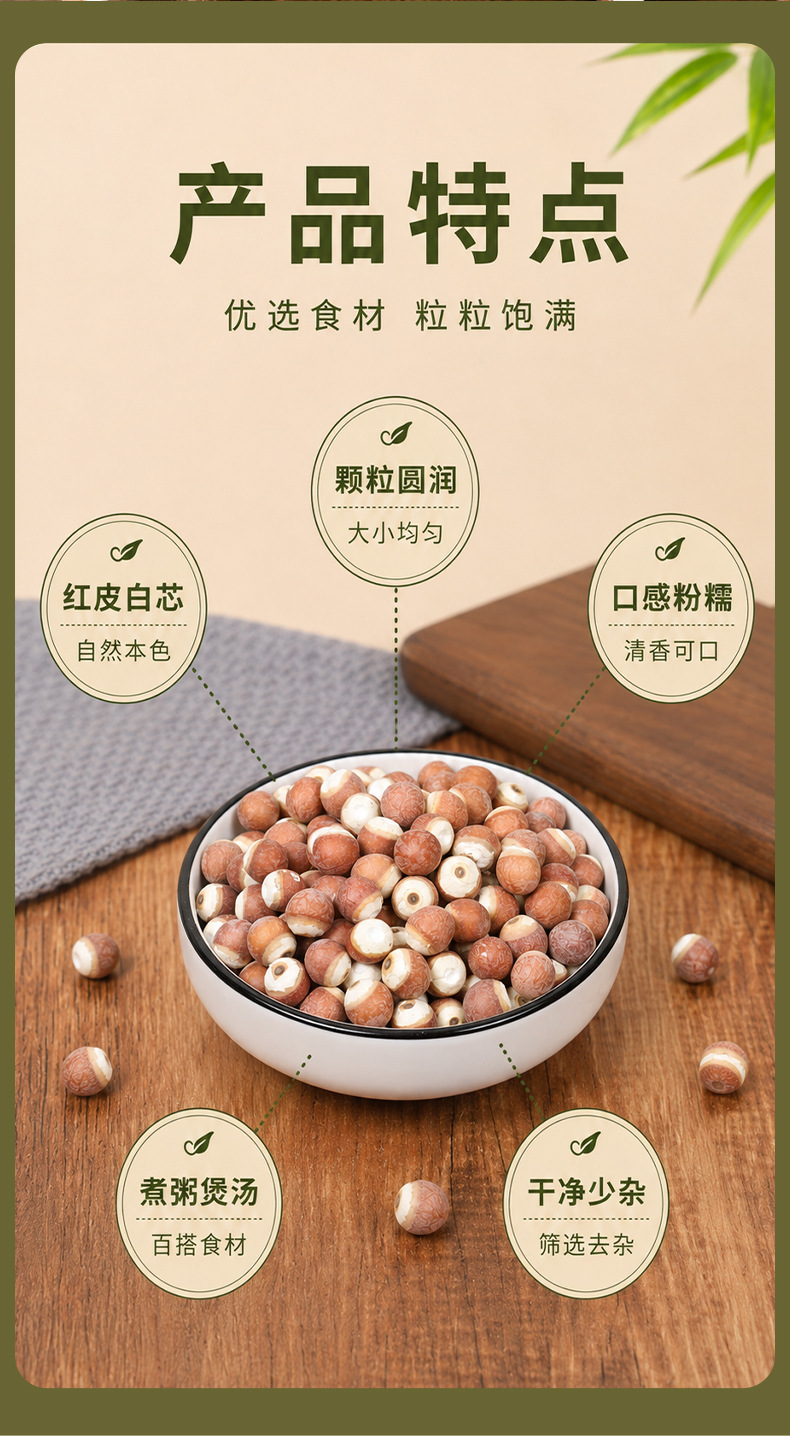 Dried Gorgon Fruit Qian Shi 200g Red Skin Euryale Seeds 12mm Premium Grade key features