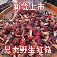 正宗野生红菇小红菇菇丁农户自采自然晒干无硫四川万源产月子煲汤
