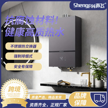跨境外贸家用燃气热水器天然气智能恒温强排式液化气工厂高品质