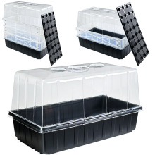 ��24�������w������ֲ��Ǥ��28����54ů���䐞�B�����粥�N����