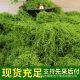 artificial moss fake turf diy artificial moss filamentous lawn green plant decoration micro landscape rockery landscaping bonsai