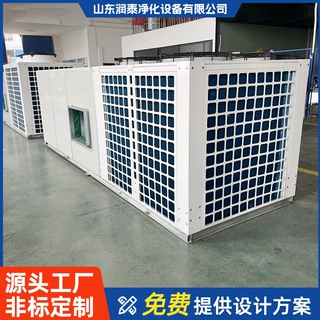防爆型工业恒温恒湿空调直膨式机组化工车间专用控温控湿设备