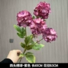 Fantasy hydrangea rose red