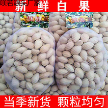 24�����r�׹��y�ӹ�1-5���b���]�oƯ�����ٹ����ָ�����y����
