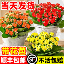 �L�ۻ������ذ�����󻨎�����������B�Ļ���ֲ���ļ��҃��_��