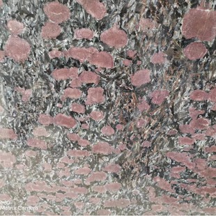 ҹõ�廨����̨��  ������  �P���{̨�� �P���{������