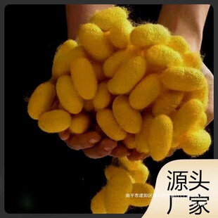 Ww��Ȼ��ɫɣ�Q�O����������QӼ��ɫ�Q�O�W���ֹ�DIY��z�ָ��O
