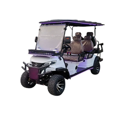 Cart Hotel Shuttle: Gaofe Auto Parts and Accessories