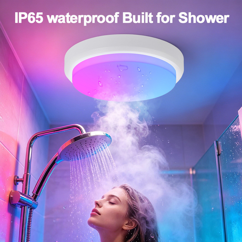 Cross-border rechargeable moisture-proof ceiling light IP65 waterproof magnetic remote control RGB dimmable and color-adjustable bathroom light