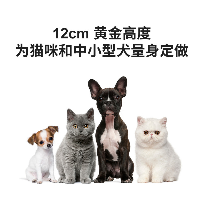 猫碗_05.jpg