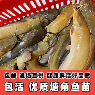 �����~�籾�����X�~������T�~���~�絭ˮ�Bֳʳ���^�p�~�ͻ���]
