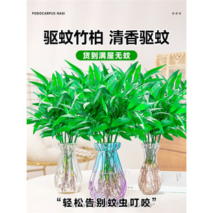 ��������ˮ������ֲ���҃������ӿ���ˮ�B�Gֲ���������k������