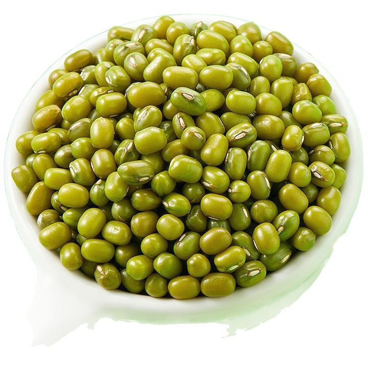 真空绿豆出沙可发芽新鲜皮薄绿豆汤绿豆糕五谷杂粮粗粮批发代发