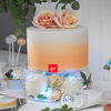 Transparent acrylic can fill the charging cakes.