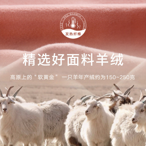 Men's and Women's Long Sleeve Warm Innerwear Set with Fleece and Velour for Autumn and Winter, Round Neck, Slimming Design, Bulk Wholesale