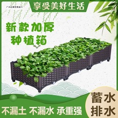 阳台蔬菜种植箱屋顶特大塑料种菜盆长方形花槽户外菜盆环保花盆