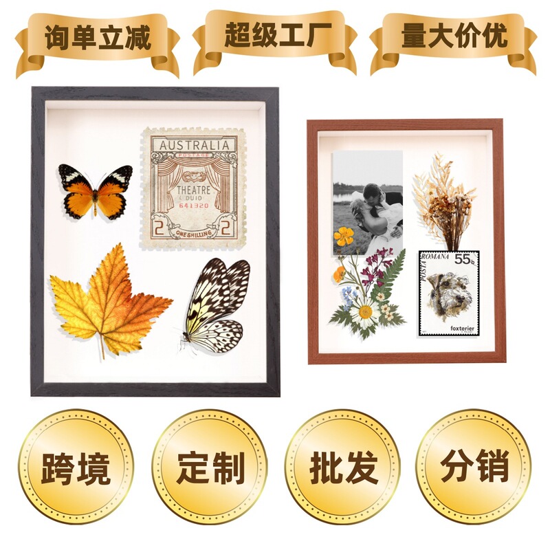 Creative DIY Dried Flower Butterfly Specimen Frame Hollow 3cm Photo Frame Dried Flower Doll Decorative Frame Display Stand Girl Gift