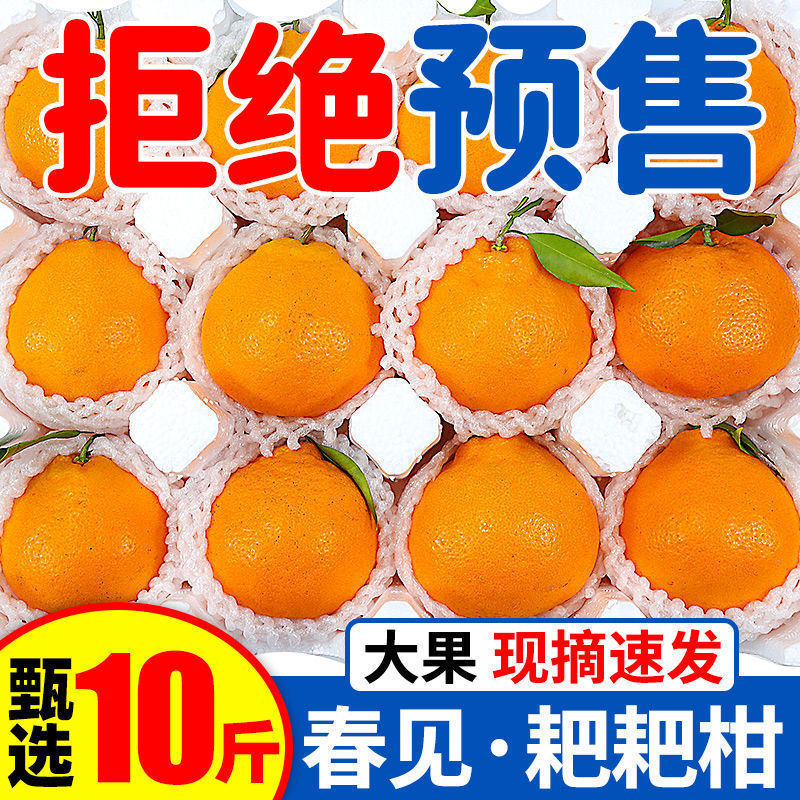 四川眉山耙耙柑正宗浦江春见耙耙柑当季新鲜水果非丑橘