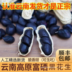 【包郵便】雲南特産品2024年新鮮な殻付きセレン黒落花生新商品袋入り