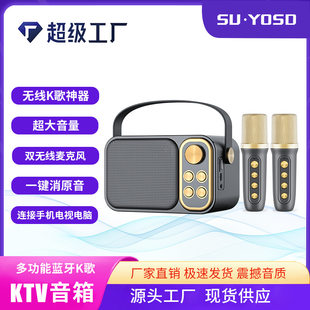 YS-105 Bluetooth audio dual-mic home KTV karaoke microphone children's karaoke microphone speaker outdoor portable