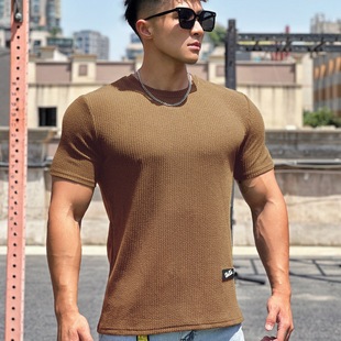Summer Men's Pullover Round Neck Snake Print Base Shirt T-Shirt Sports Fitness Top Men's Short-Sleeve Sports Trendy