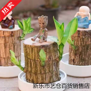 ����ľ������ˮ�B���\ľˮ�໨���҃��̨�ļ���þGֲ�������i��