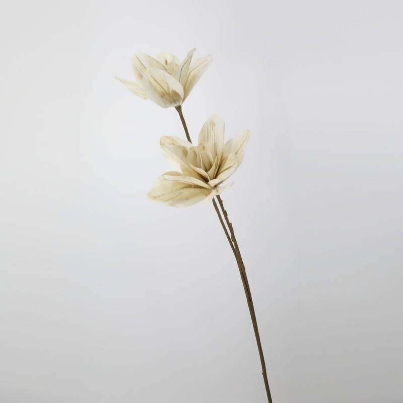 花の卸売りは葉の白い果物の手を持って3叉の大きい剣の葉の乾燥する花の芸術の生け花の材料の撮影の道具があります。|undefined