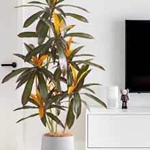 仿真绿植假树植物盆栽室内客厅高端轻奢仿生花装饰红铁树落地摆件