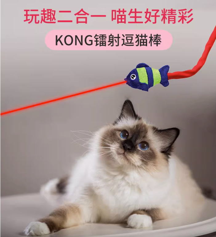 작은 물고기 레이저 고양이 펑크 CAT49