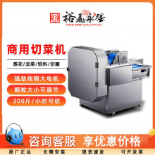 裕飞永强商用切菜机多功能葱花韭菜辣椒切段机自动土豆切片刨丝器