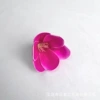 Mini Magnolia-Rose Red