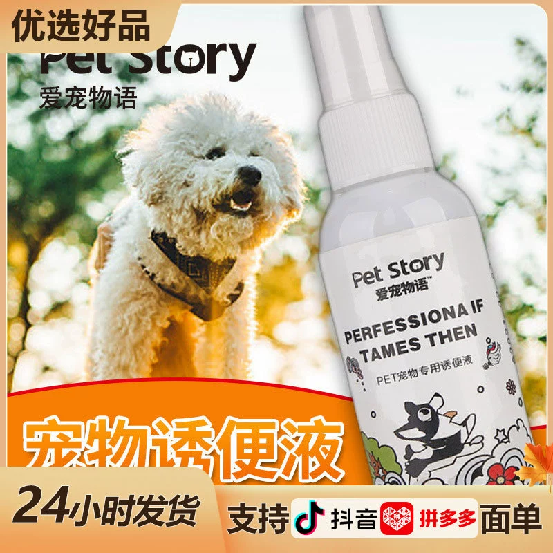 Тренировка домашних животных в туалете