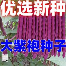 ϼtļNӸ߮aܿt϶Ǽ߲ܶ˷NZ