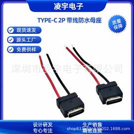 带线USB TYPE-C 2PIN焊线防水母座 带螺丝耳朵 注塑带线 线长可定
