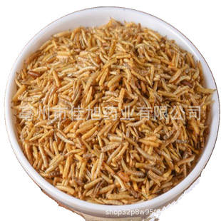 ���] ����x �S��o���x ���� ω�� ����x ���� �����x ���s��