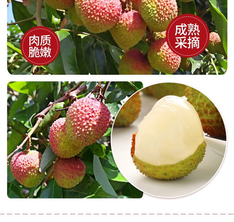 e8022a58-ed04-48a0-8cc8-0283da71fe33.jpe