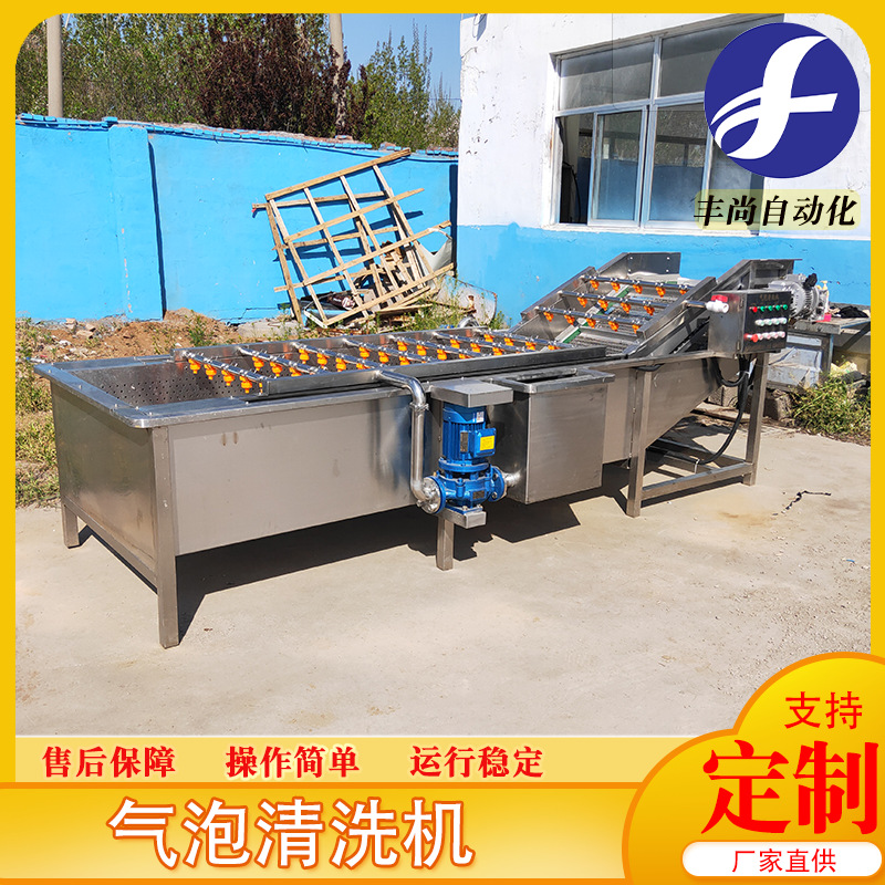 不锈钢气泡清洗机设备 蔬菜气泡清洗机 全自动蔬菜清洗机设备