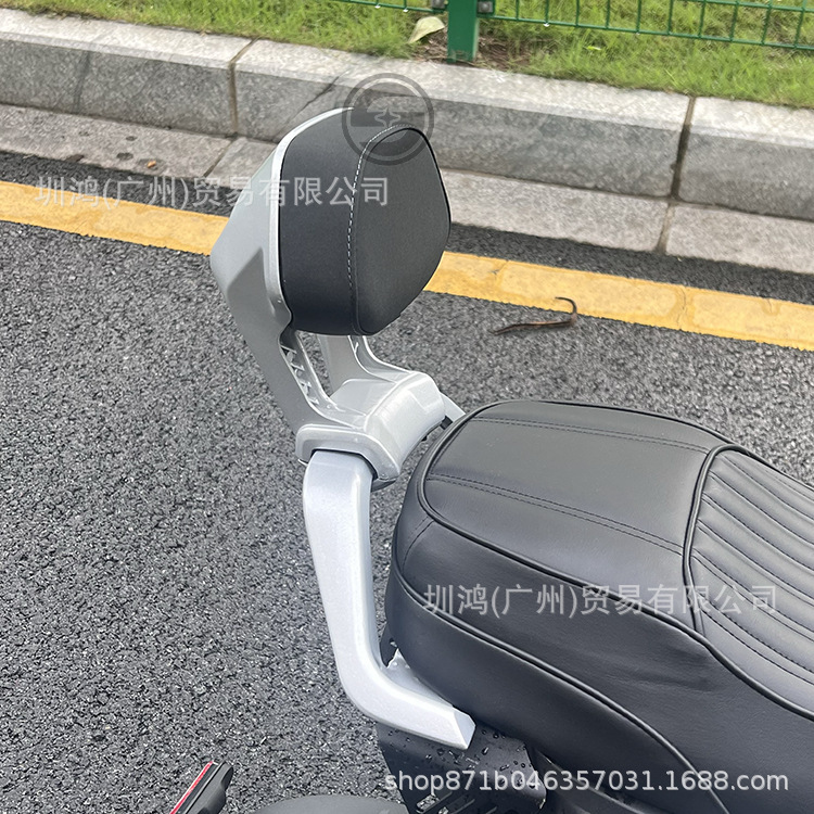 适用于九号猎户座DZ110pmmax90110pMZ/NZ/FZ铝合金后靠背电动车|undefined