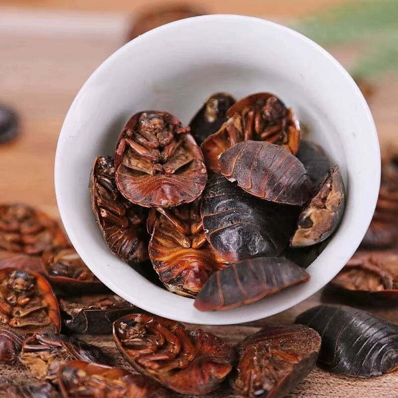 Dried Ground Beetle Tu Bie Chong 土鳖虫 Eupolyphaga Whole Insect TCM Herb 500g specifications